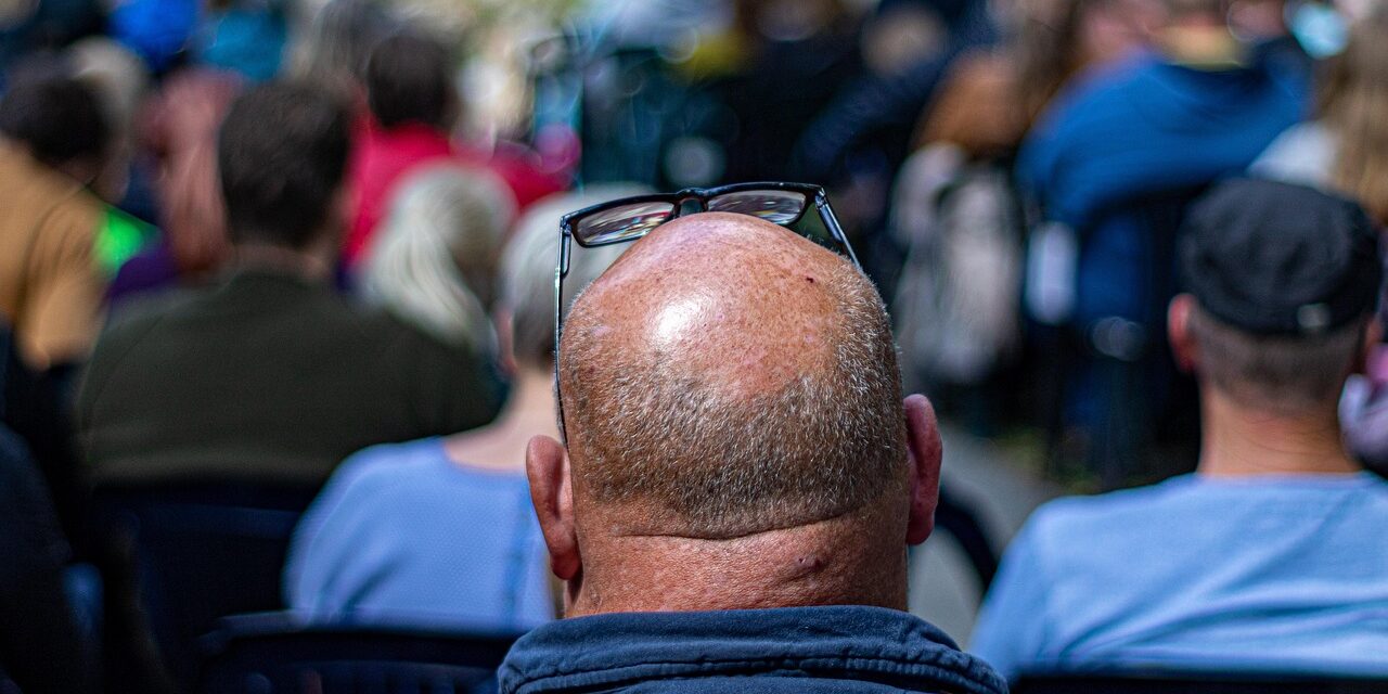 the-balding-4266543_1280