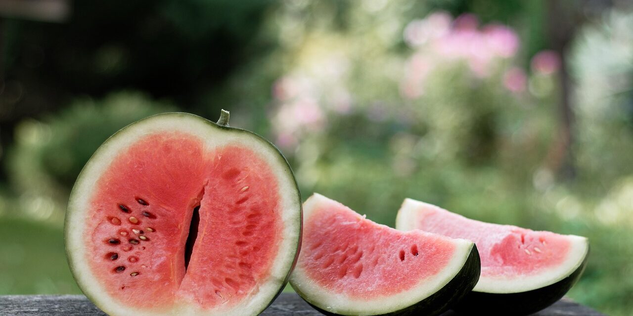 watermelon-3620725_1280