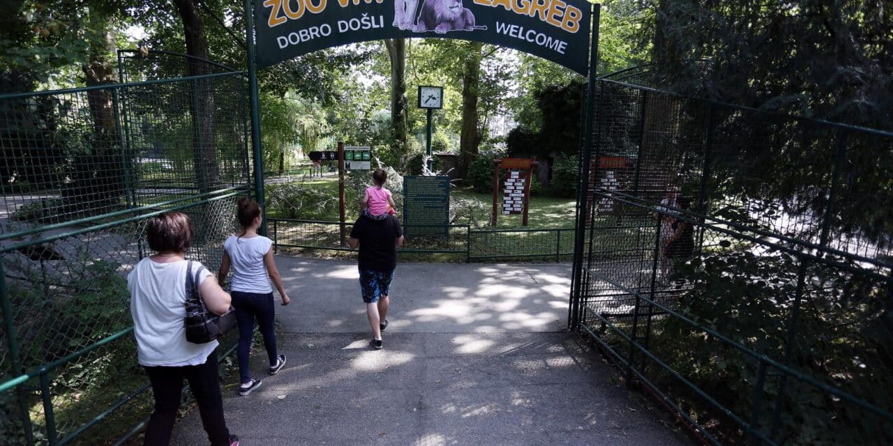 Zagreb: Nastamba zebri u zagreba?kom Zoolo�kom vrtu