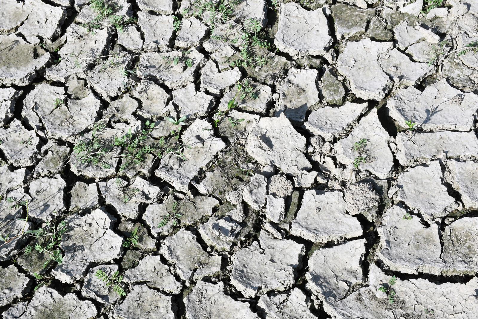 Sisak: Obala Kupe ispucana je kao u ljetnim mjesecima