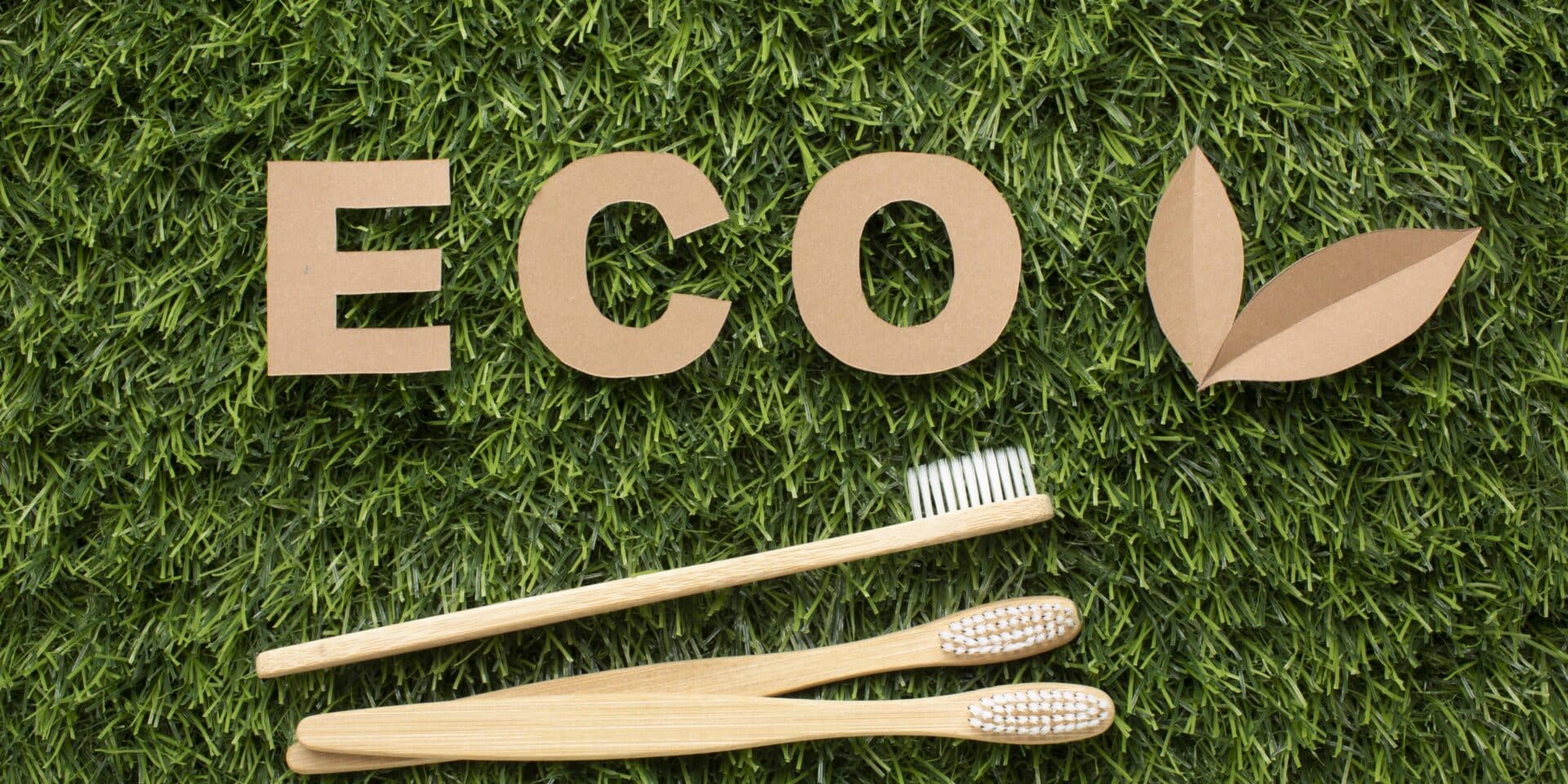 solarne vile električne jahte eko-resorte stvarna promjena greenwashing