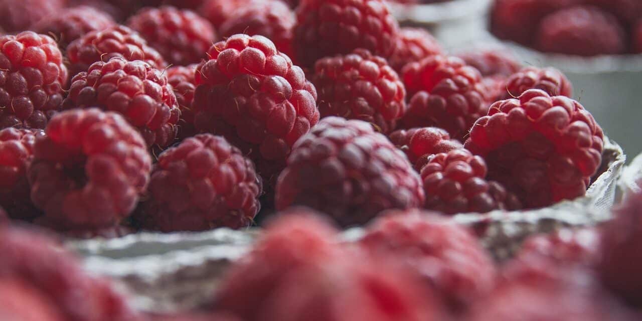 raspberries-2650342_1280