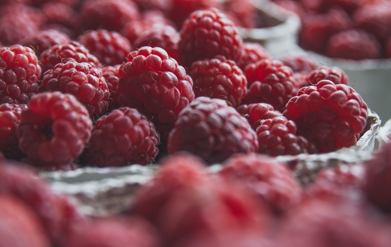 raspberries-2650342_1280