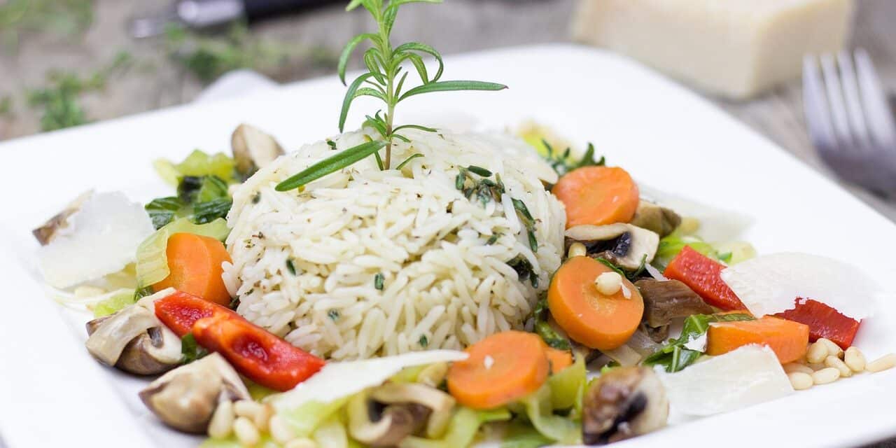 rice-2206668_1280