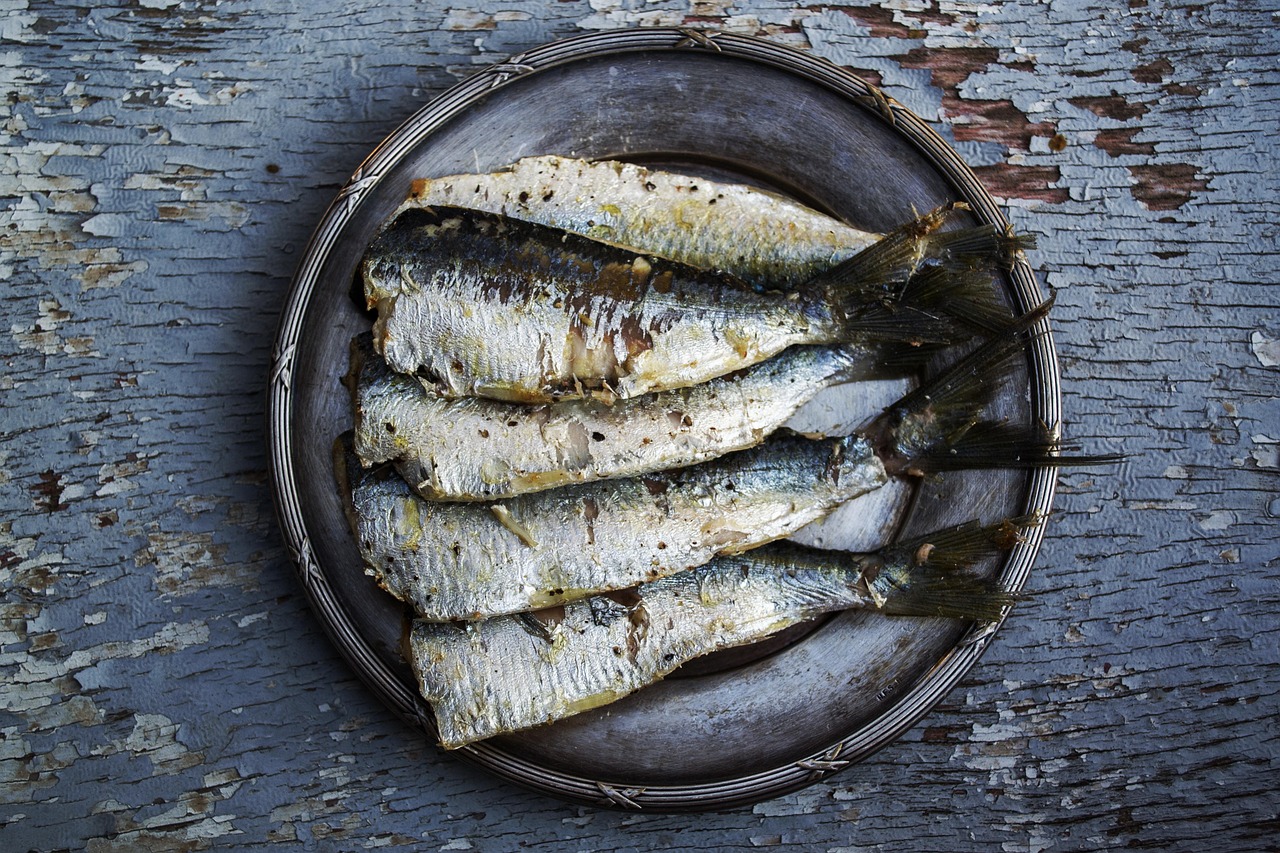 sardines-1489630_1280