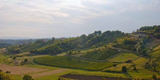 zagrebacke_vinske_ceste.png__648x432_q85_crop_subsampling-2_upscale