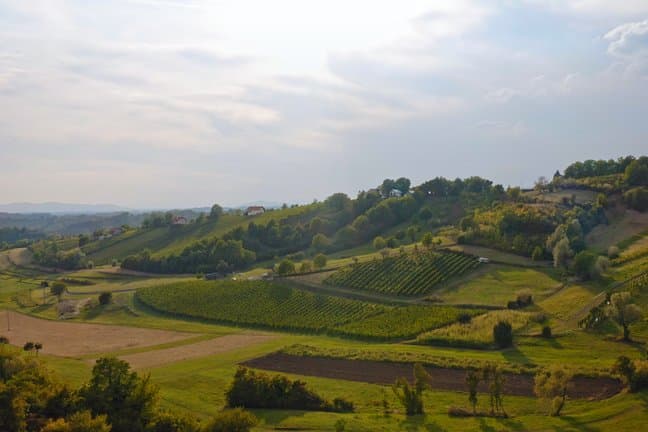 zagrebacke_vinske_ceste.png__648x432_q85_crop_subsampling-2_upscale