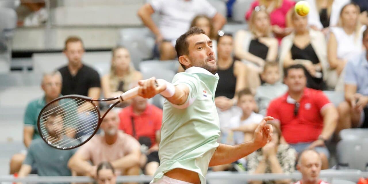 Marin Čilić