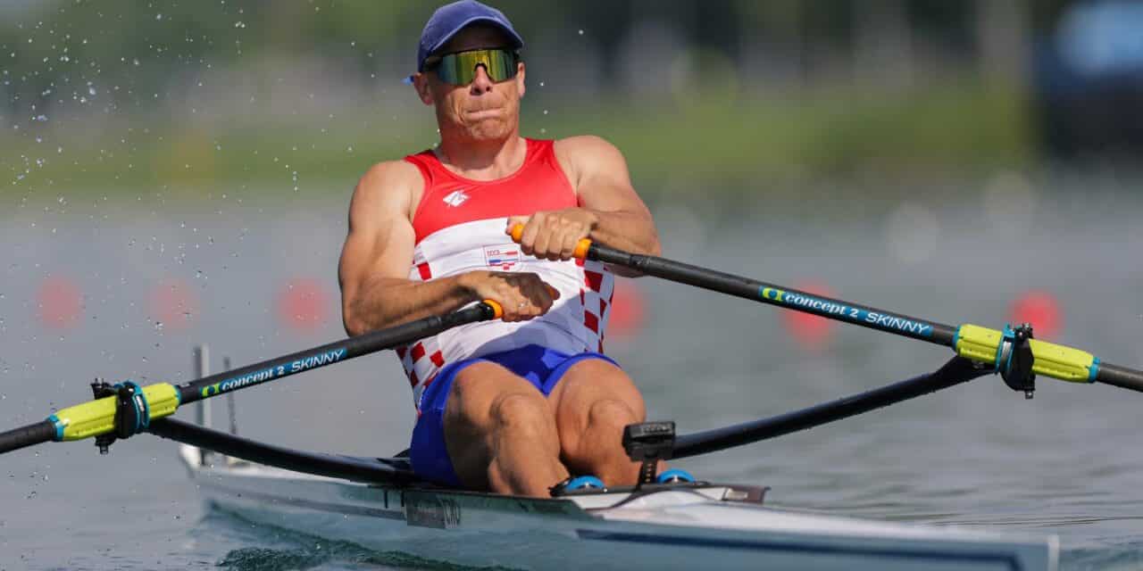 david šain