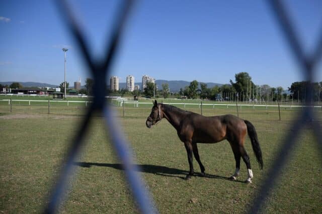 Hipodrom Zagreb Domovinski rat memorijalni muzej kulturna potreba gradski prostor konjički sport nacionalna važnost branitelji urbano planiranje kulturni identitet