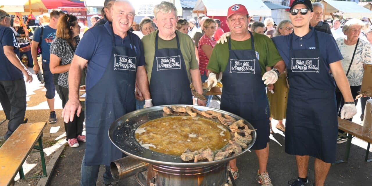 ŠRD DS GLAVNA SLIKA