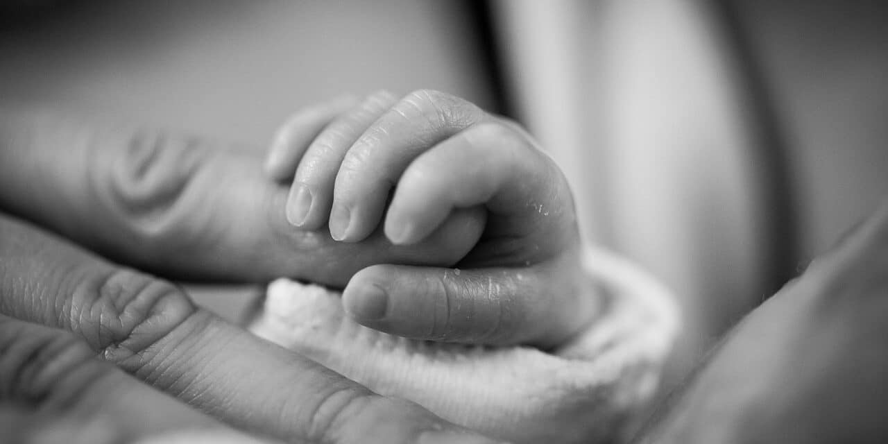 baby-1681181_1280
