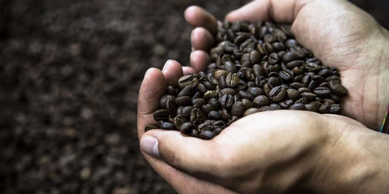 kava povijest kave lifestyle kultura kave ritual društvo globalni trendovi espresso specialty coffee kavane