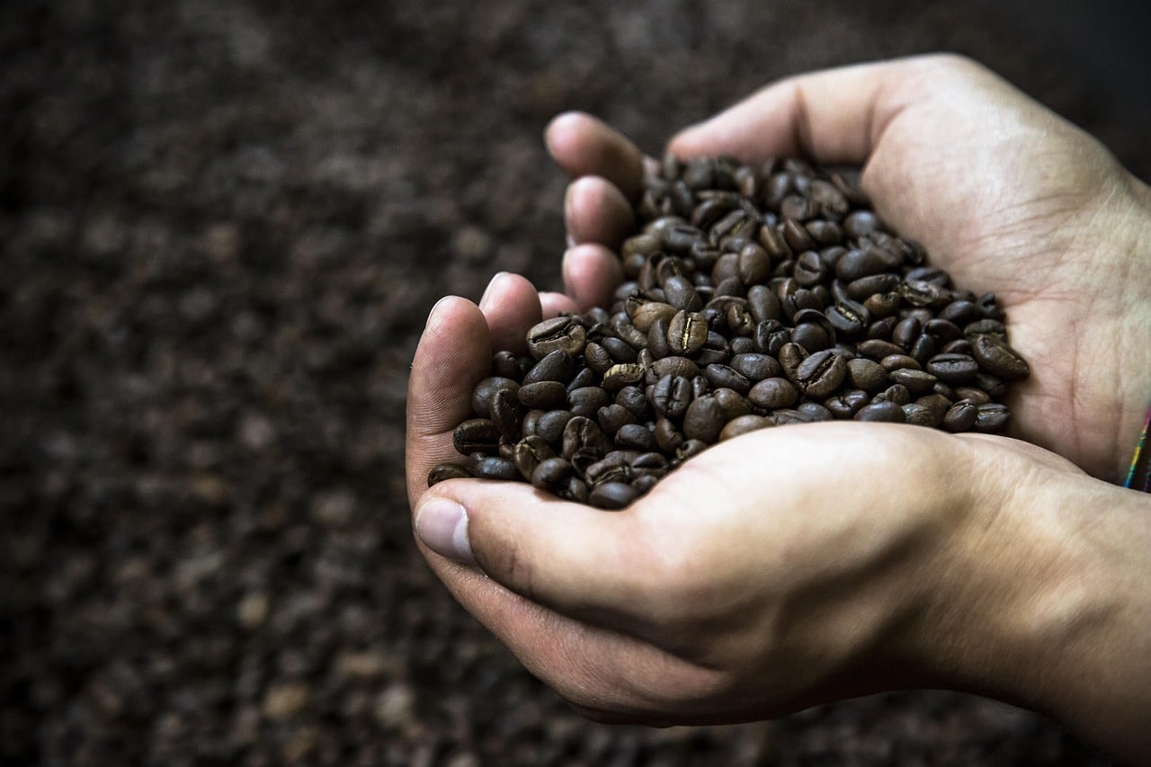 kava povijest kave lifestyle kultura kave ritual društvo globalni trendovi espresso specialty coffee kavane