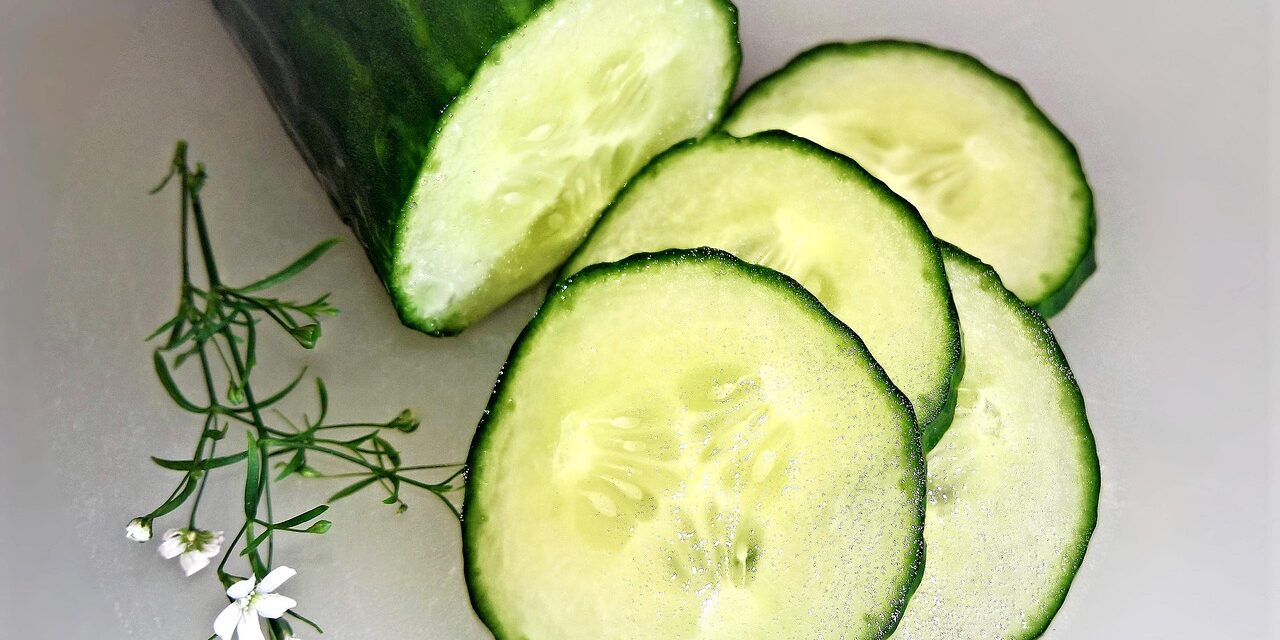 cucumber-4314342_1280