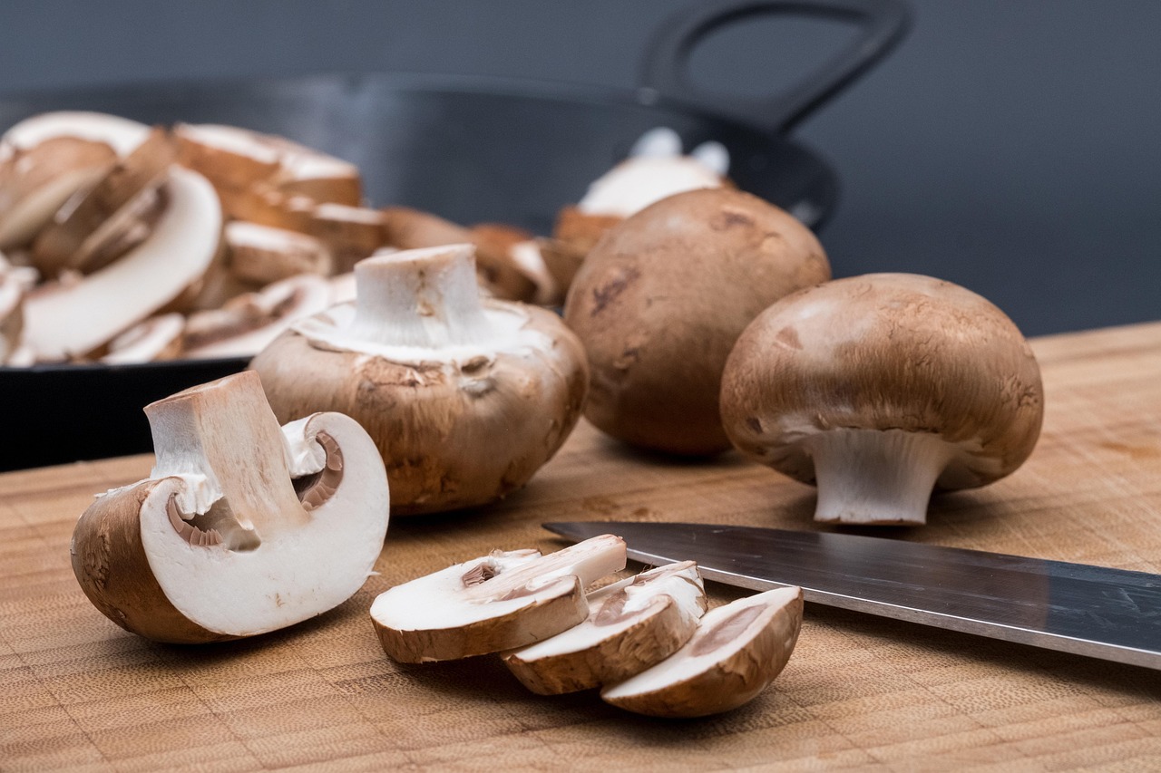 mushroom-4213471_1280