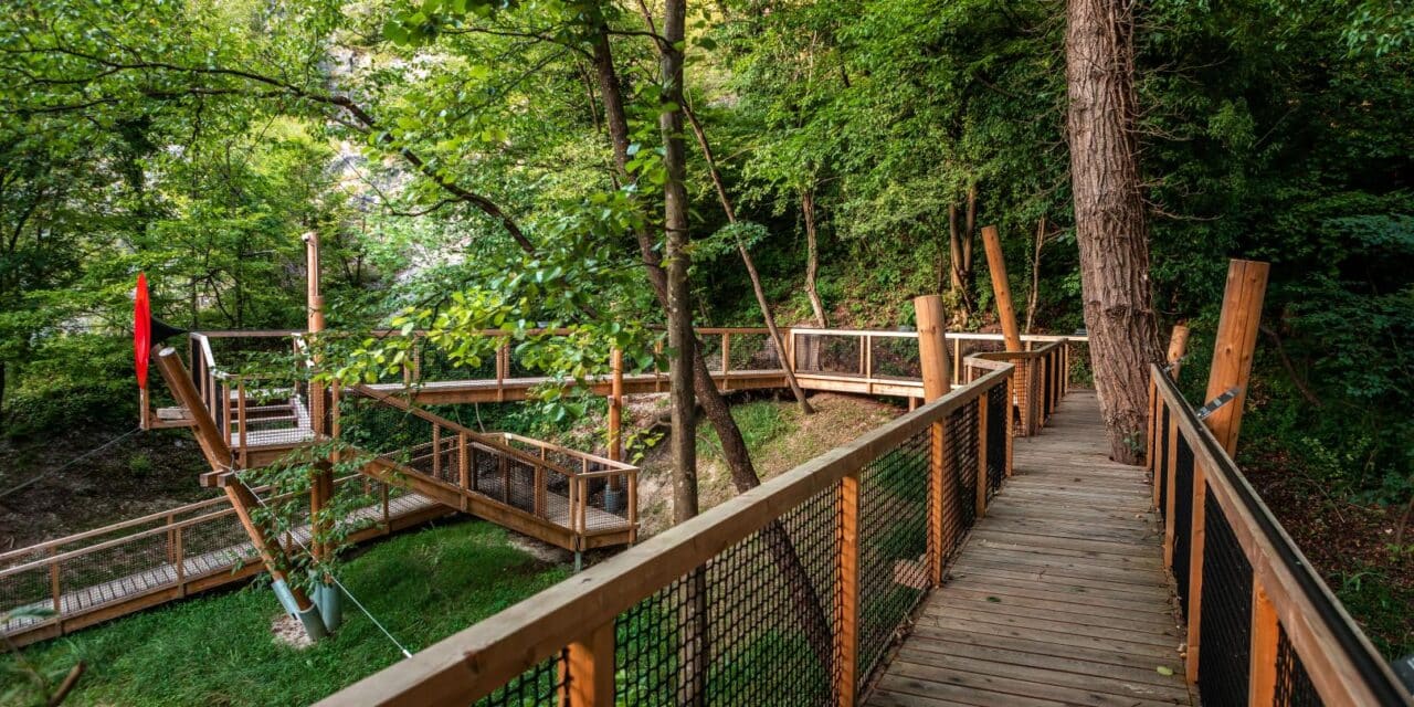 staza kroz krošnje zelenjak (3)