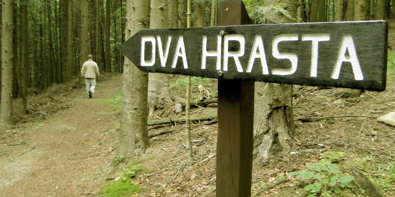 Papuk: Olujno nevrijeme sru�ilo hrast kitnjak star 430 godina