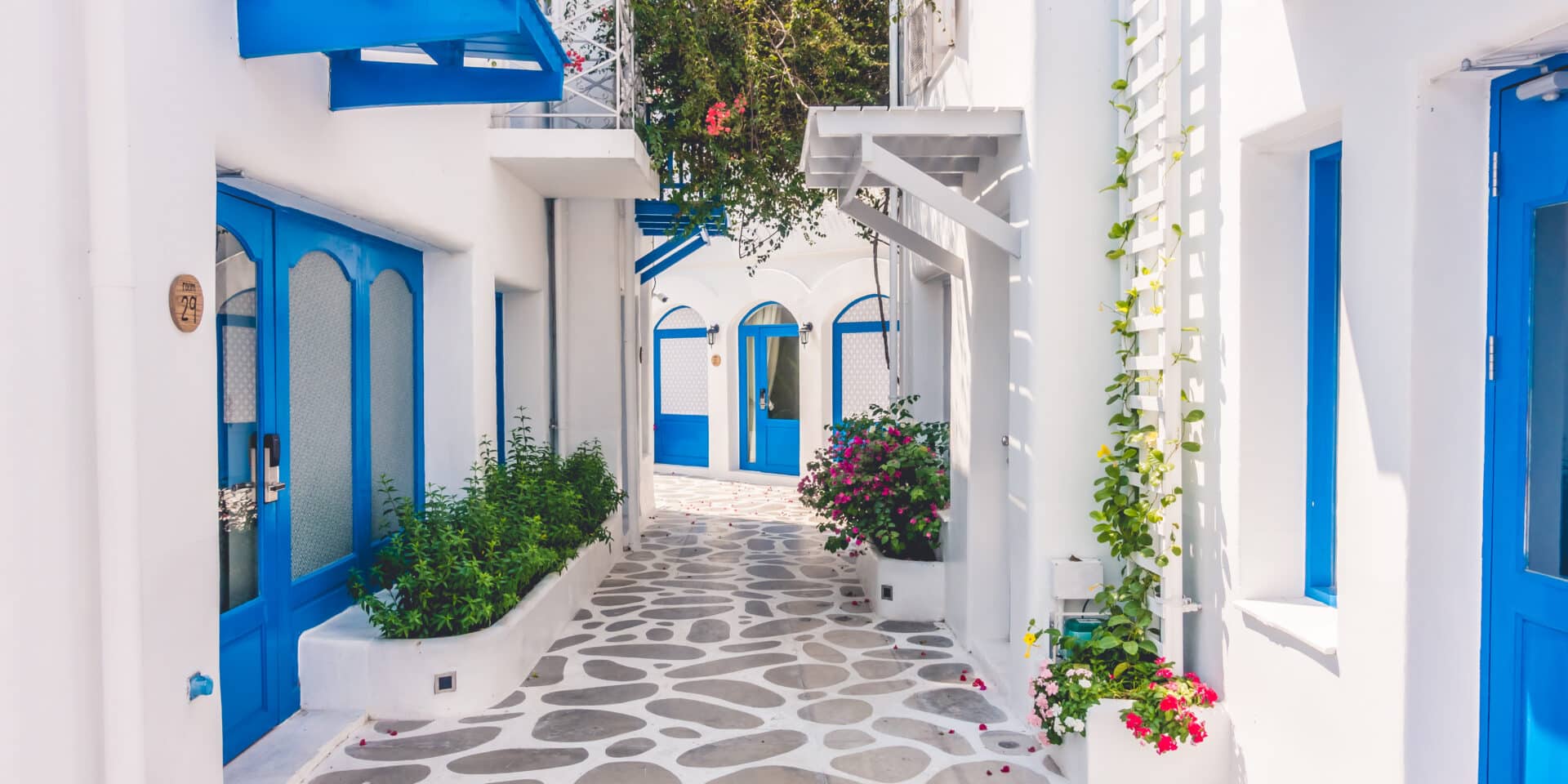 Mediteranska prehrana dijeta stil života zdravlje uživanje dugovječnost