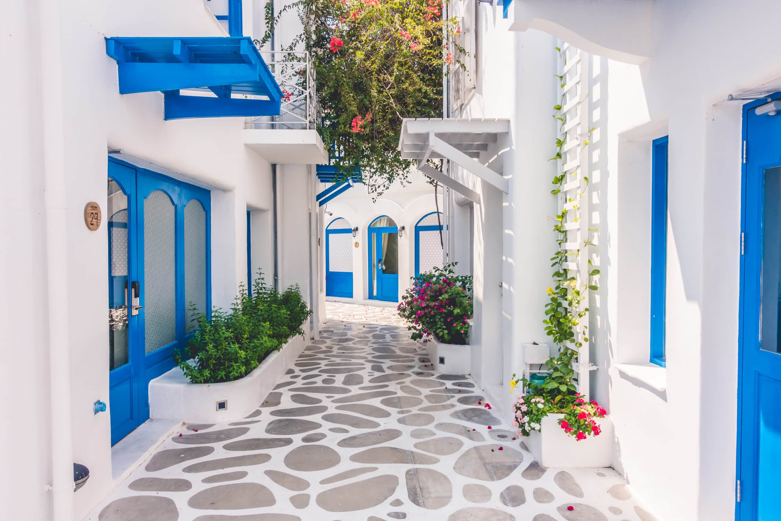 Mediteranska prehrana dijeta stil života zdravlje uživanje dugovječnost