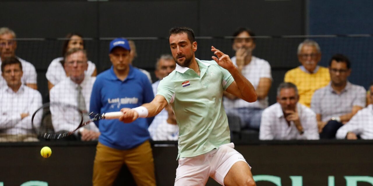 marin čilić
