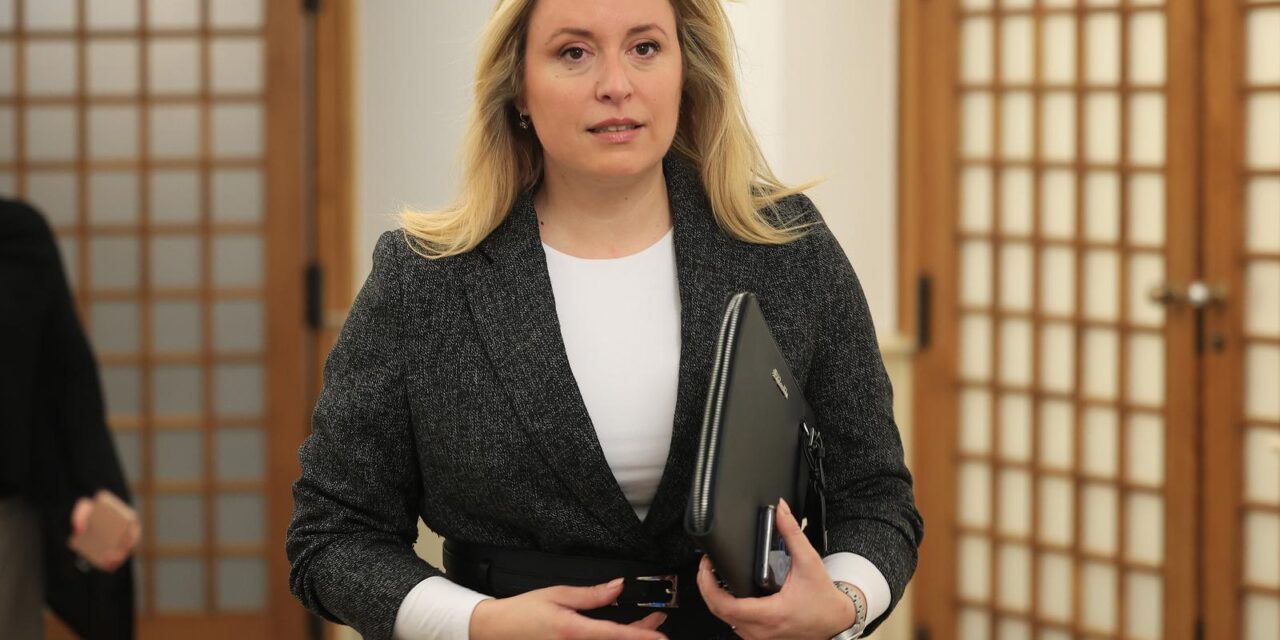 Zagreb: Dina Dogan održala konferenciju za medije