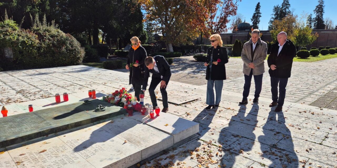 WhatsApp Image 2025-10-31 at 17.19.12 (2)