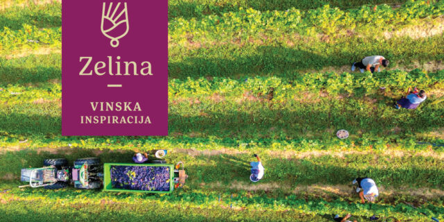 ZELINA VINSKA INSPIRACIJA_feed_1080x1080_px-11