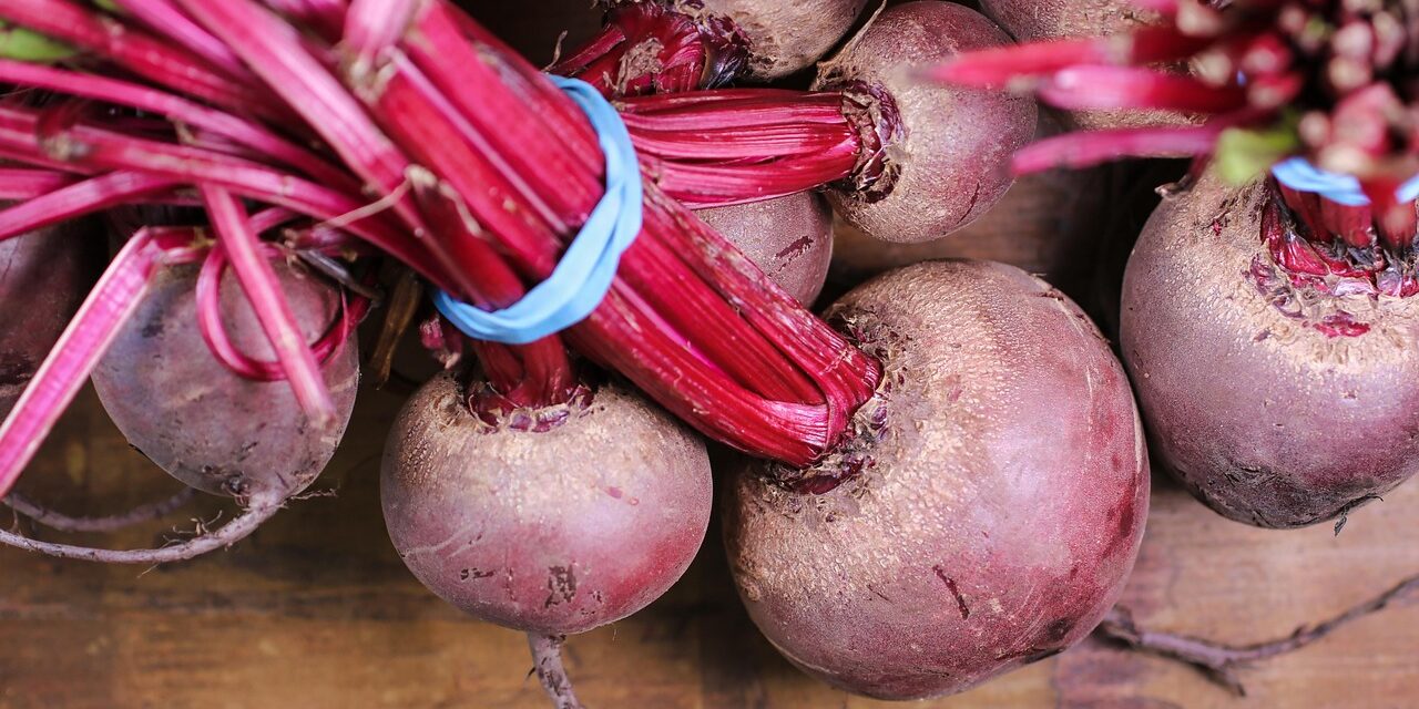 beetroot-3590359_1280