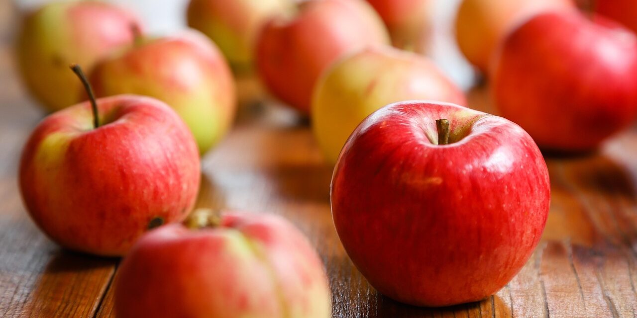 harvest-7458975_1280