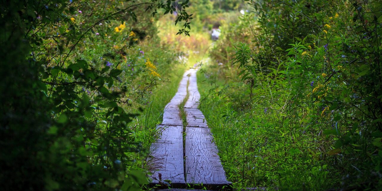 trail-3800581_1280