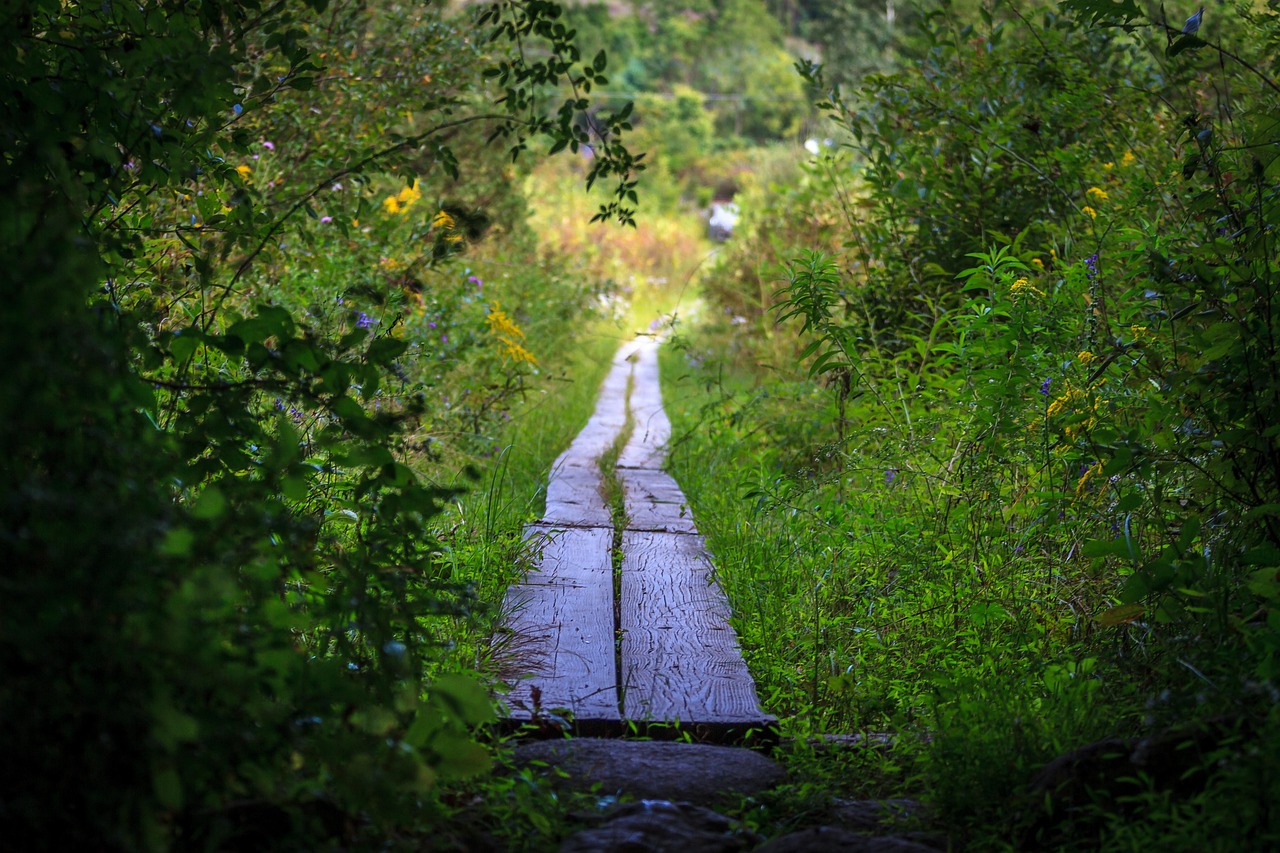 trail-3800581_1280