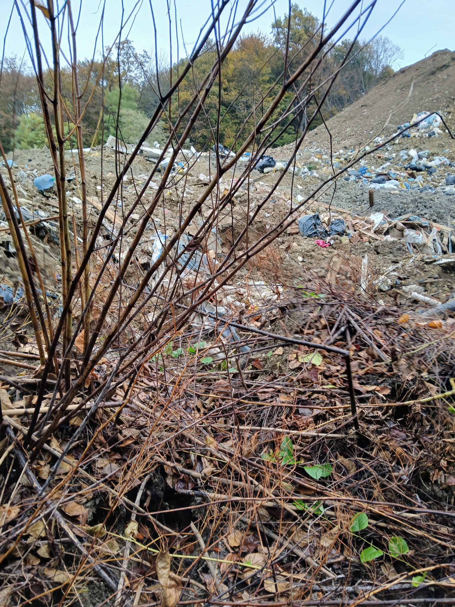 Pavučnjak Samobor ilegalno odlaganje otpada okoliš Ekologija grada