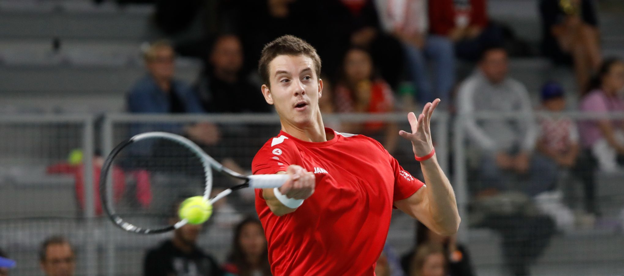 matej dodig
