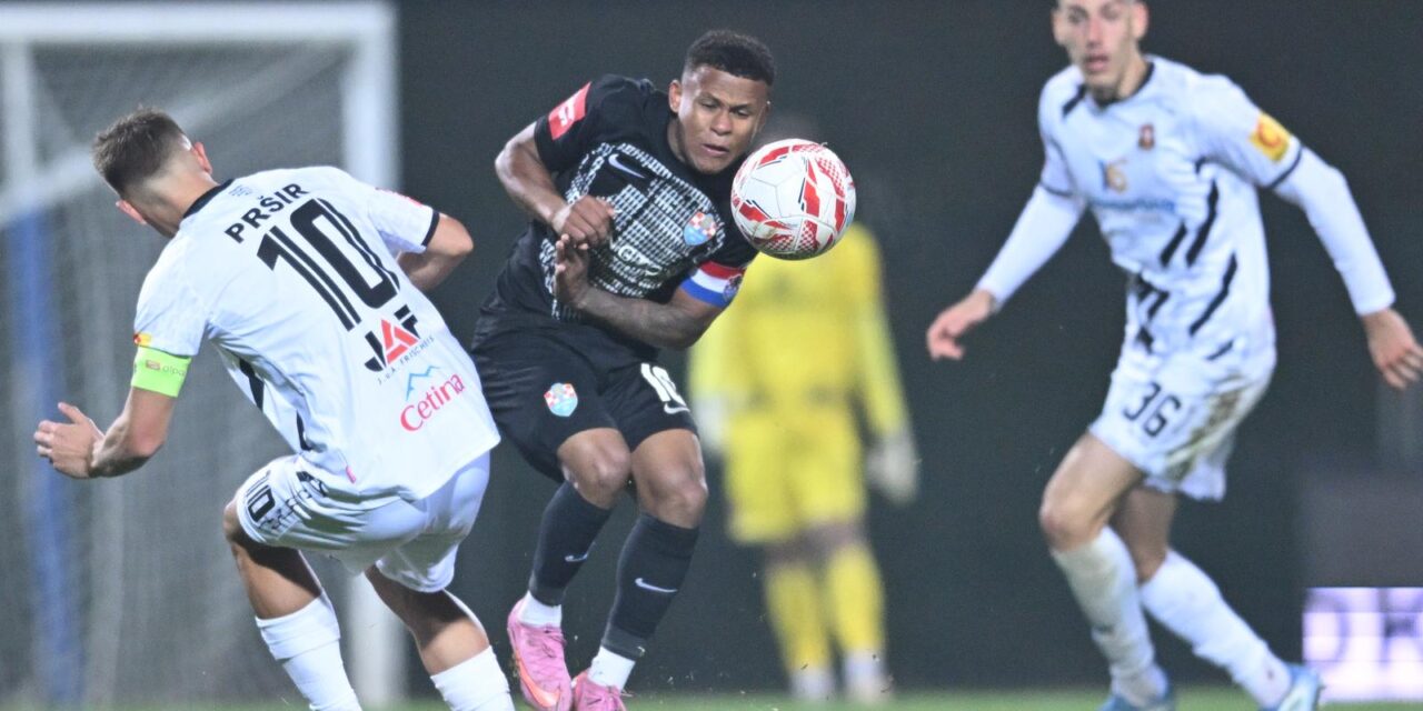 Velika Gorica: HNK Gorica i NK Vukovar sastali se u 13. kolu Prve HNL