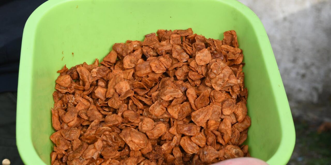 čvarci