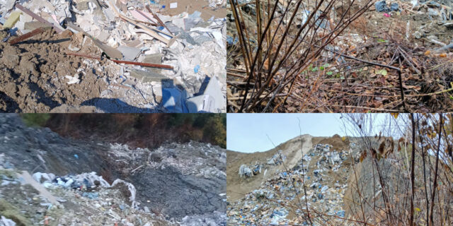 Pavučnjak Ekologija grada