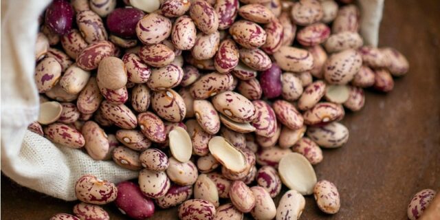 beans-7772449_1280