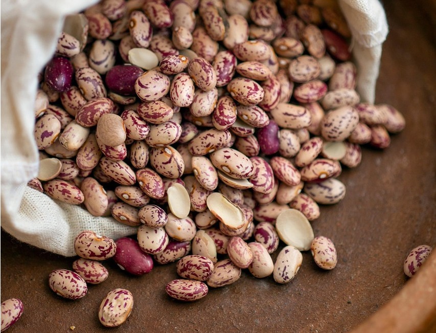 beans-7772449_1280