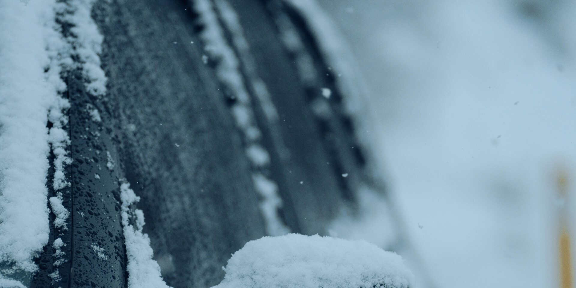 pexels-atahandemir-15473384