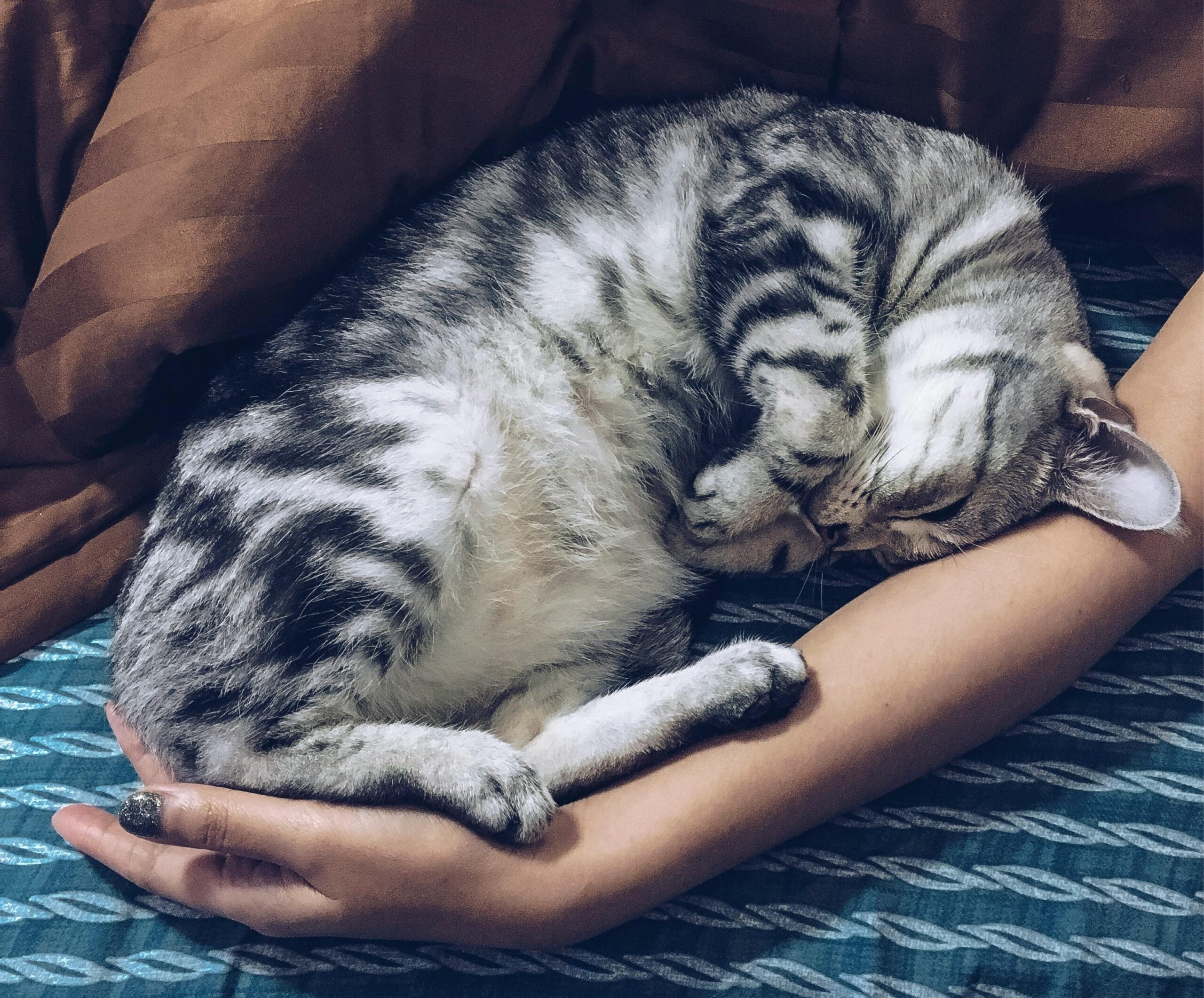 pexels-sornbhakkanut-boonprasop-1365111-2646483