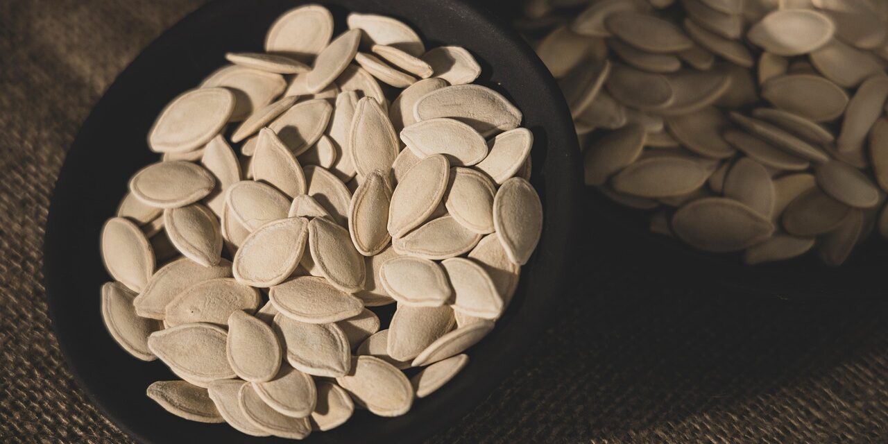 pumpkin-seeds-5612181_1280