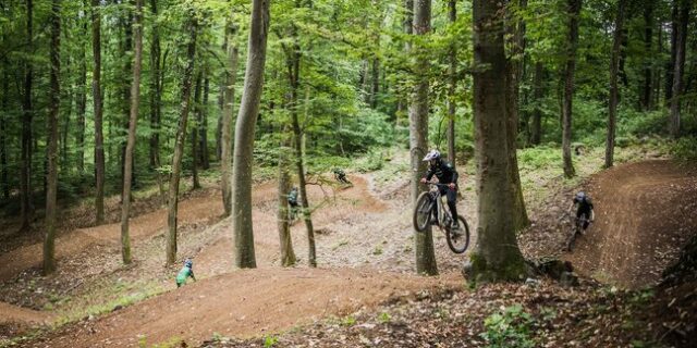 4g2a1771.jpg__648x432_q85_subsampling-2