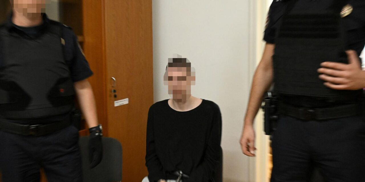 Napadaču iz Prečkog 50 godina zatvora, arhiva