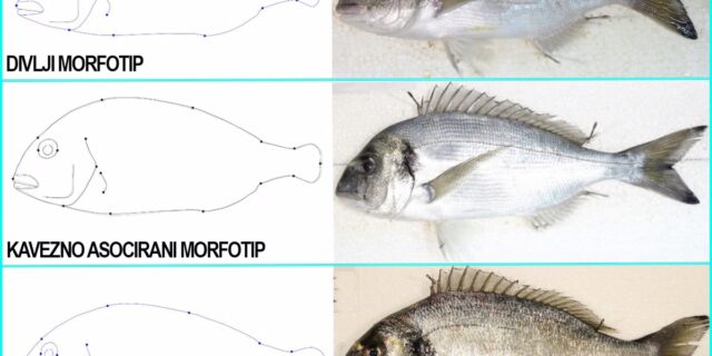 1767908028_611777995_17838833558.format-avif.width-1200