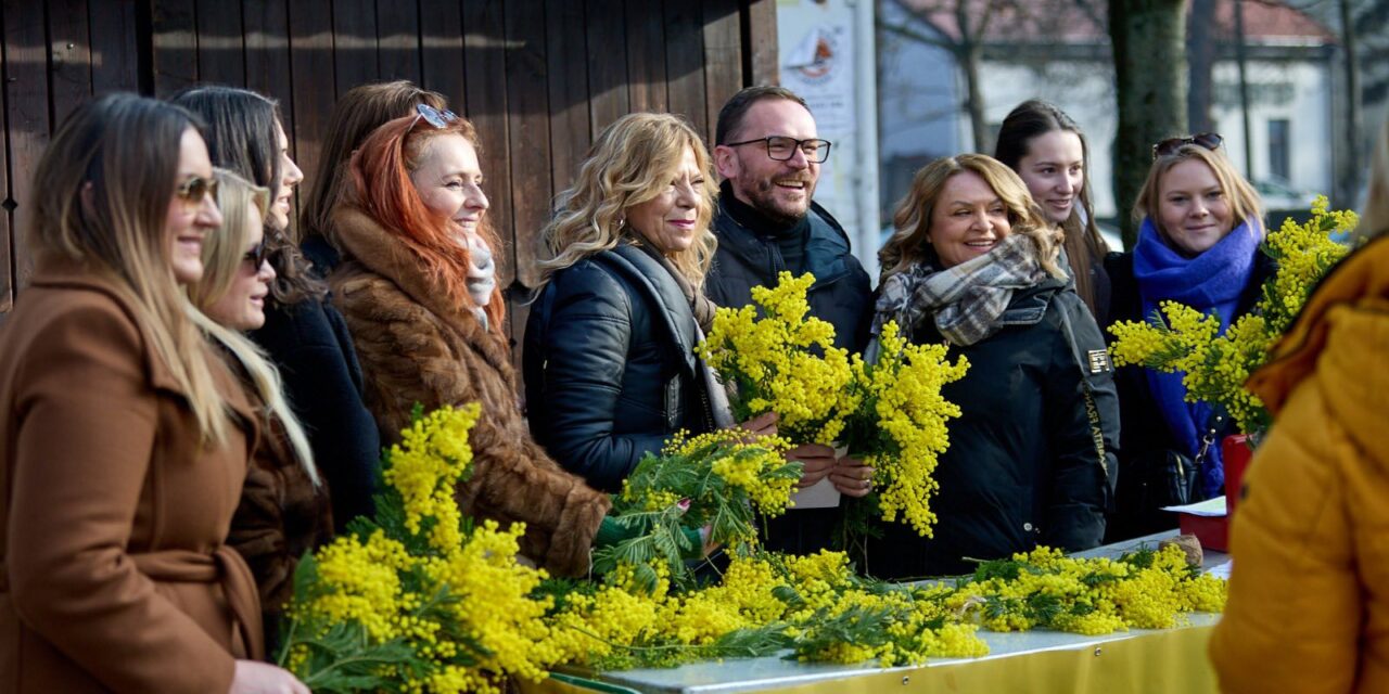 Dan-mimoza-u-Velikoj-Gorici1