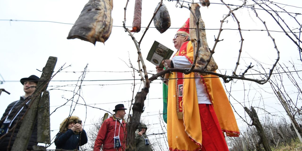 Održano Vincekovo narodni običaj posvete loze prema Križevačkim štatutuma