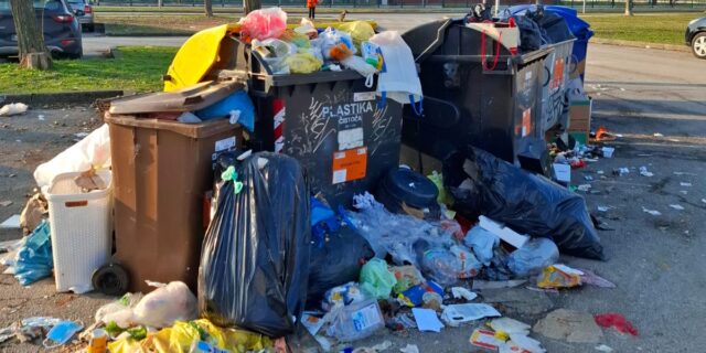 WhatsApp Image 2026-01-19 at 16.45.45