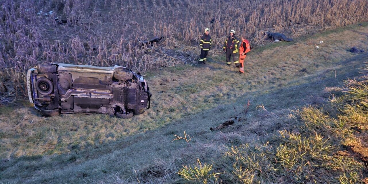 WhatsApp Image 2026-01-23 at 18.02.31