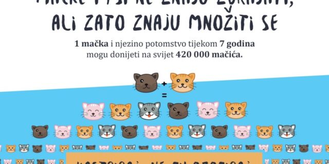 image_3_14519-1024×768